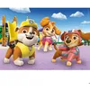 Image de Puzzle 2 x 20 pièces : Pat Patrouille (Paw Patrol)