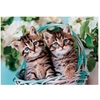 Image de Puzzle Jigsaw Super Color: Jolis Chatons Jumeaux De Clementoni, 60 Pièces