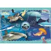Image de Clementoni 27141 Puzzle