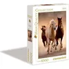 Image de Clementoni - 1000 Pieces - Running Horses