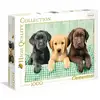Image de Puzzle 1000 Pièces Clementoni High Quality Three Labs