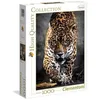Image de Clementoni - Puzzle 1000 pièces - La marche du Jaguar - Animaux - Adulte - Fabriqué en Italie