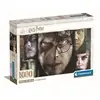 Image de 1000p Harry Potter - 70 X 50 Cm - Avec Poster