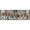 Image de Clementoni Puzzle 1000 Beagles Panoramiques