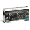 Image de Clementoni - Compact 1000 Pieces Panorama - Herd Of Giants
