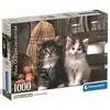 Image de Puzzle compact 1000 pièces 50x70cm - Chattons adorables