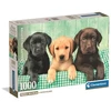 Image de Clementoni - Compact 1000 Pieces - Three Labs