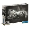 Image de Clementoni - Compact 1000 Pieces - Kitty
