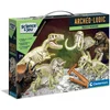 Image de Coffret 4 en 1 Archéo-Ludic - Proies et Prédateurs CLEMENTONI