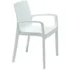 Image de Chaise Avec Accoudoirs Polypropylène Lou Blanc