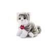 Image de Peluche Chat Blanc Et Gris S
