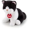 Image de - Chat Brad Blanc Et Noir