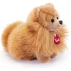Image de Peluche - Trudi - Chien Poméranien - 22 cm - Marron - Mixte