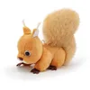 Image de Sweet Collection - L Ecureuil