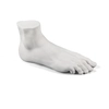 Image de SELETTI élément décoratif MALE FOOT MEMORABILIA MVSEVM (Blanc - Porcelaine)