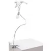 Image de SELETTI lampe de table SPARROW avec serrer (Taking off - Résine et métal)