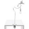 Image de SELETTI lampe de table SPARROW avec serrer (Cruising - Résine et métal)