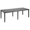 Image de Table queen resine tressee 224827