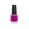 Image de DDP SMALTO 219