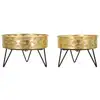 Image de Lot De 2 Cache-pots Design "zanny" 20cm Or