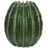 Image de Vase rond et pittoresque Mauro Ferretti Cactus Ball
