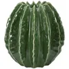 Image de Pot En Forme De Boule De Cactus Cm Ø 23,5 X 24,5