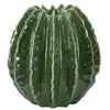 Image de Vase déco en céramique cactus 24cm vert 0421390003