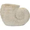 Image de Vase En Sable Coquillage -a- Cm 33x19x23 (trou Cm Ø 13)