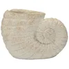 Image de Vase Mauro Ferretti Shell A