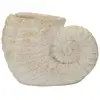 Image de Vase design effet sable shell 33cm beige