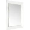 Image de KARTELL miroir mural FRANÇOIS GHOST grand Francois Ghost (Cristal - Polycarbonate transparent)