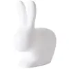 Image de QEEBOO chaise RABBIT CHAIR (Blanc - Polyéthylène)