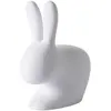 Image de QEEBOO chaise RABBIT CHAIR (Gris clair - Polyéthylène)