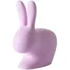 Image de QEEBOO chaise RABBIT CHAIR (Rose - Polyéthylène)