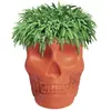Image de QEEBOO vase MEXICO PLANTER (Terre cuite - Polyéthylène)