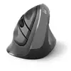 Image de Ewent Ew3229 Souris Bureau Droitier Rf Sans Fil Optique 2400 Dpi