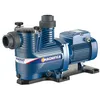 Image de Pompe De Filtration Piscine Magnifica Pedrollo 1m 230v - 0.55 Kw - 12 M3/h
