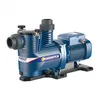Image de Pompe De Filtration Piscine Magnifica Pedrollo 5m 230v - 2.2 Kw - 36 M3/h
