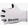 Image de Gants Santini 3D blanc - M