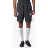 Image de Short Ahora Pro 8 AS Monaco 24/25 pour Homme - Gris foncé blanc
