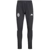 Image de Pantalon de survêtement Abunszip Pro 8 AS Monaco 24/25 pour Homme - Gris foncé blanc