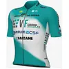 Image de Maillot Bardiani CSF Faizanè Pro Team 2025 Prime manche courte vert blanc - S