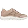 Image de Baskets femme Geox Spherica - naturel/foncé