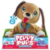 Image de Les Toufous - Chien Marron