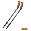 Image de Bâton de marche nordique Fizan Walx Xplorer