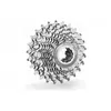 Image de Cassette - TRIANGLE - Primato - 10 vitesses - Compatible Campagnolo - 14/28T
