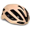 Image de Casque Kask Protone Icon WG11 sable - L
