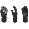 Image de Gants De Ski/snow Level Evolution Gore-tex Black-grey Homme