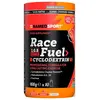 Image de Shake NamedSport Race Fuel 400 g