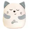 Image de Peluche gris chaton First dreams CHICCO